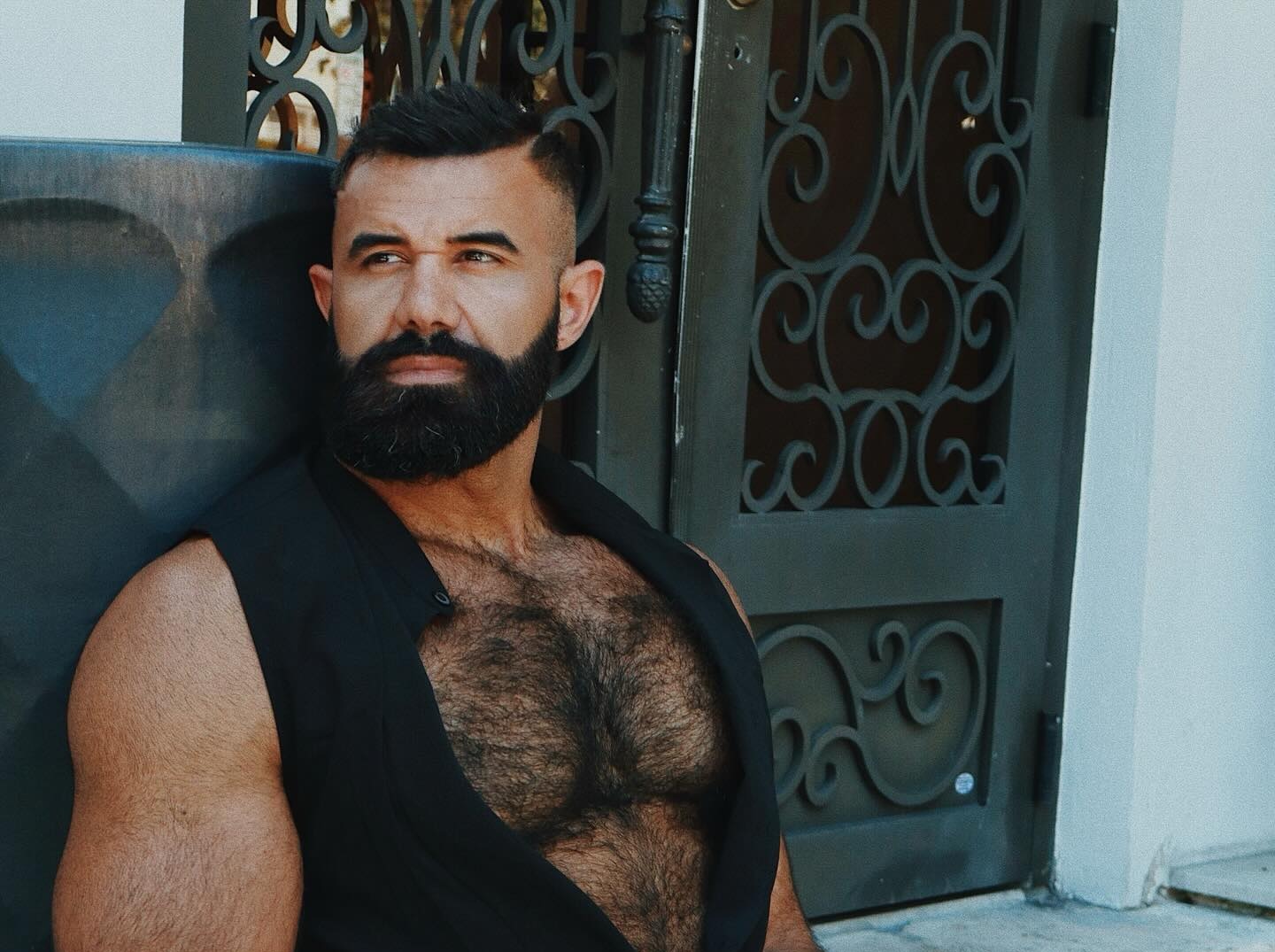 🍙 Persian Alpha Wolf