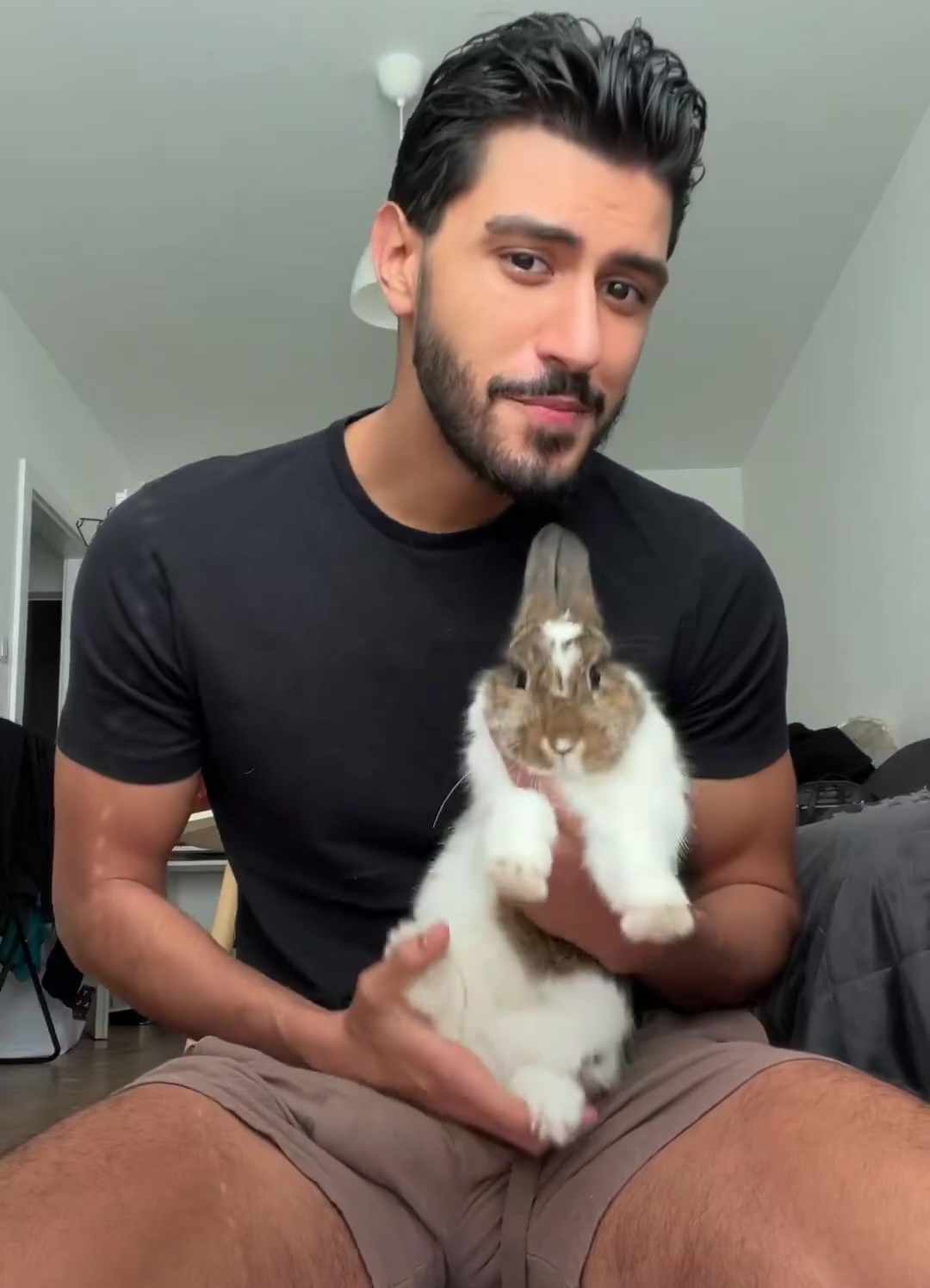 🐰 狡兔三窟的网红兔子哥