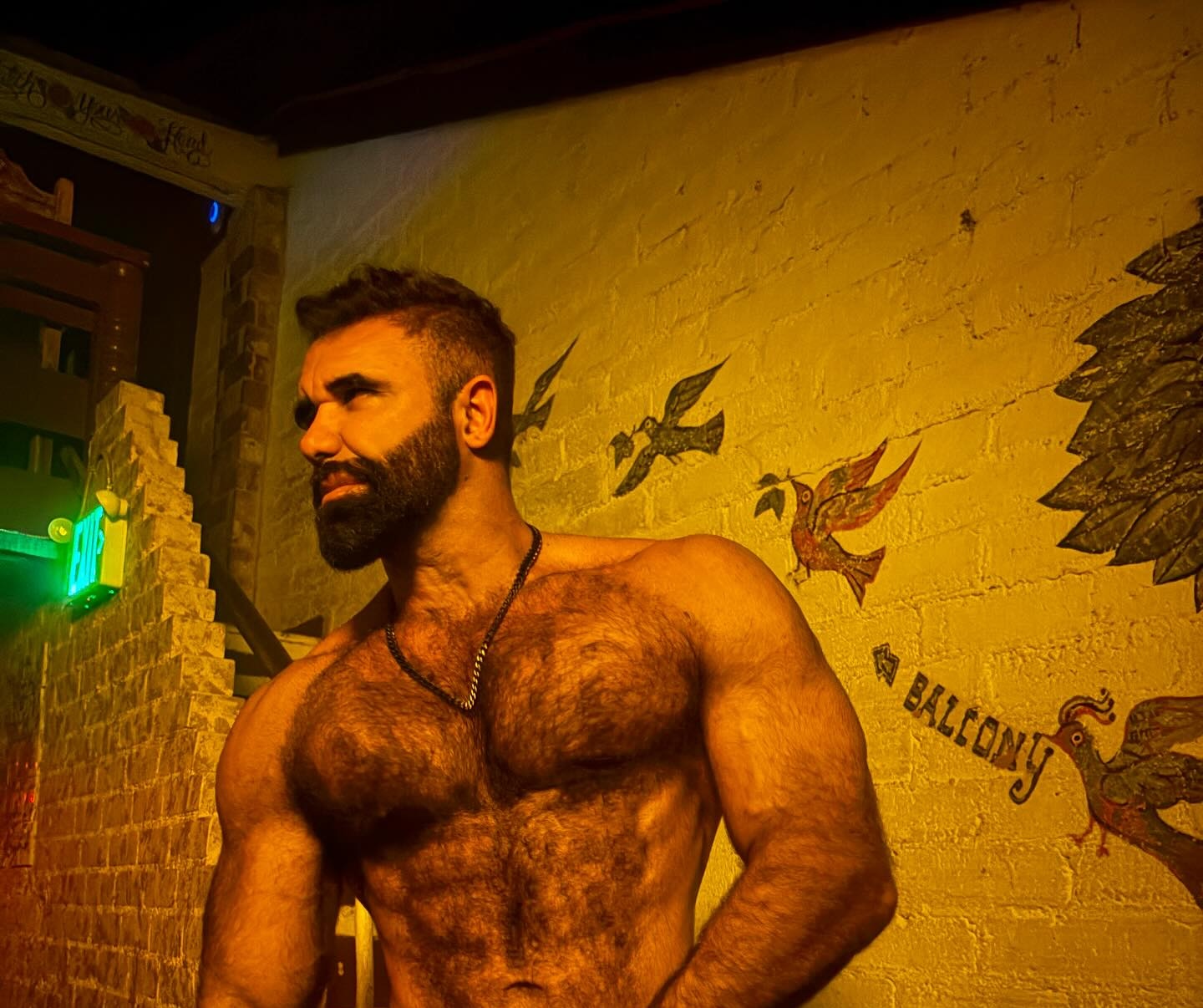 🍙 Persian Alpha Wolf (2)